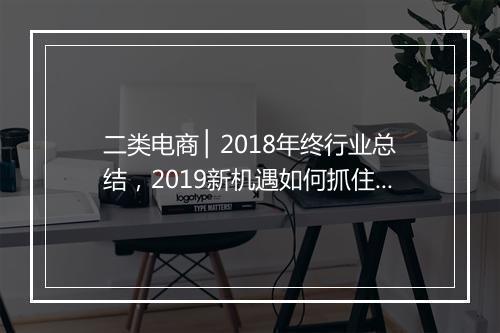 二类电商 ▏2018年终行业总结，2019新机遇如何抓住？