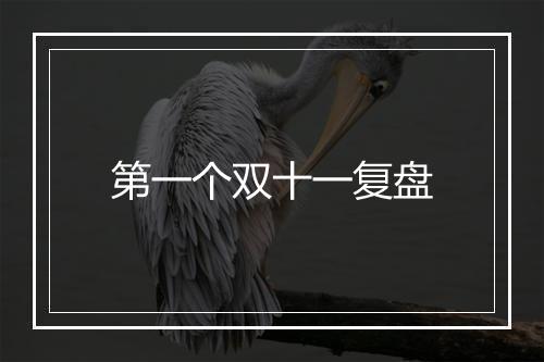 第一个双十一复盘