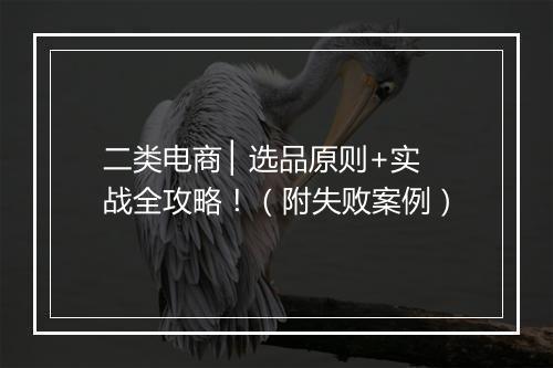 二类电商 ▏选品原则+实战全攻略！（附失败案例）