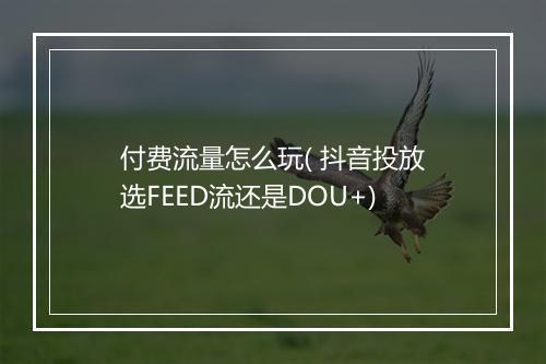 付费流量怎么玩( 抖音投放选FEED流还是DOU+)