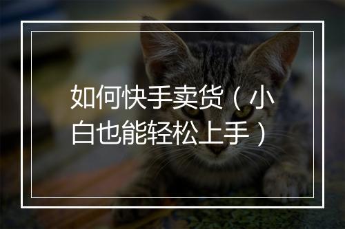 如何快手卖货（小白也能轻松上手）