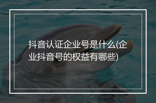 抖音认证企业号是什么(企业抖音号的权益有哪些)