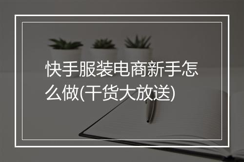 快手服装电商新手怎么做(干货大放送)