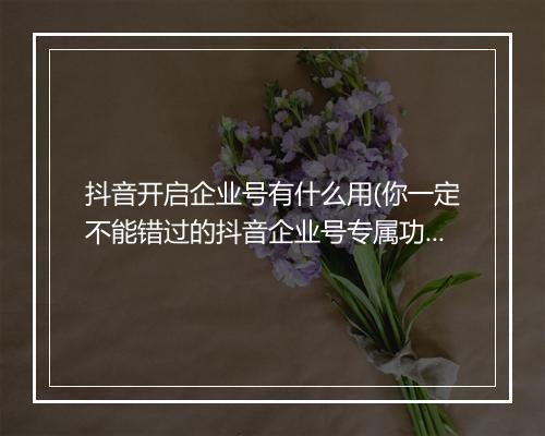 抖音开启企业号有什么用(你一定不能错过的抖音企业号专属功能)