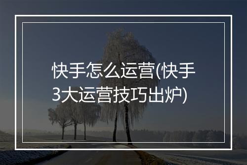 快手怎么运营(快手3大运营技巧出炉)
