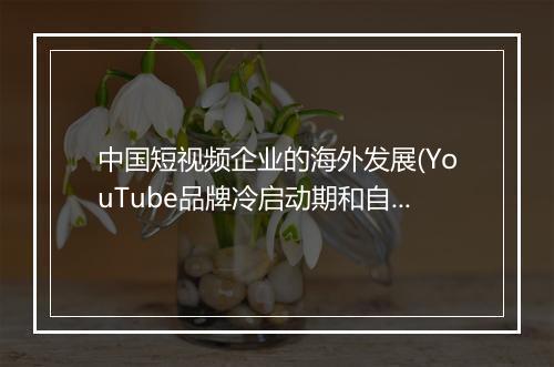 中国短视频企业的海外发展(YouTube品牌冷启动期和自查清单)
