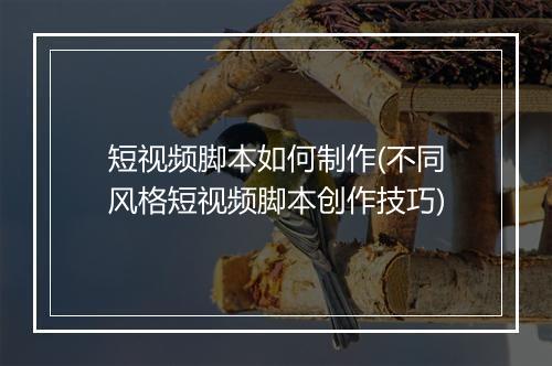 短视频脚本如何制作(不同风格短视频脚本创作技巧)