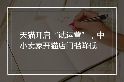 天猫开启“试运营”，中小卖家开猫店门槛降低