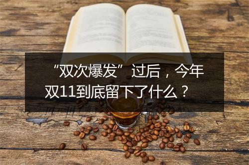 “双次爆发”过后，今年双11到底留下了什么？