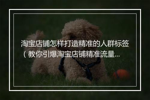 淘宝店铺怎样打造精准的人群标签（教你引爆淘宝店铺精准流量）
