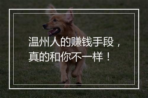 温州人的赚钱手段，真的和你不一样！