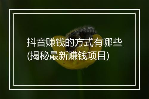 抖音赚钱的方式有哪些(揭秘最新赚钱项目)