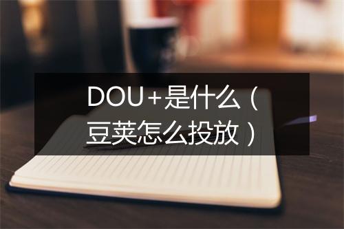 DOU+是什么（豆荚怎么投放）