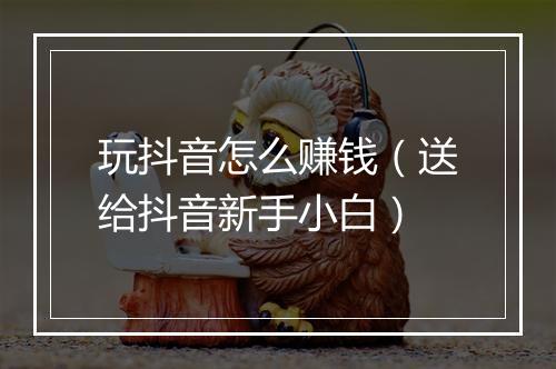 玩抖音怎么赚钱（送给抖音新手小白）