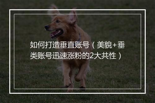 如何打造垂直账号（美貌+垂类账号迅速涨粉的2大共性）