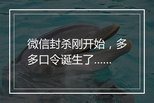 微信封杀刚开始，多多口令诞生了……