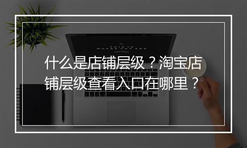 什么是店铺层级？淘宝店铺层级查看入口在哪里？