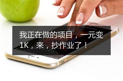 我正在做的项目，一元变1K，来，抄作业了！