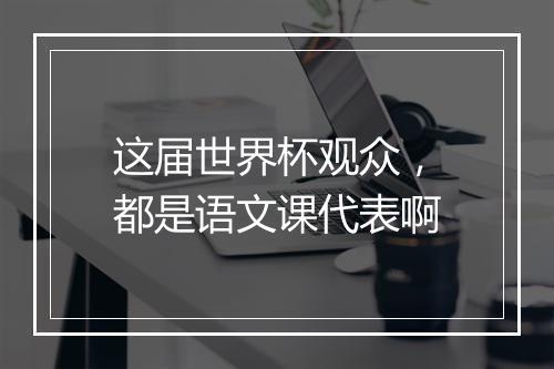 这届世界杯观众，都是语文课代表啊