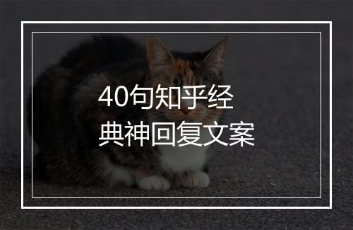 40句知乎经典神回复文案