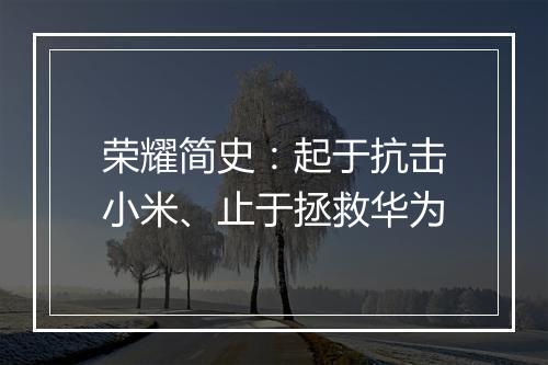 荣耀简史：起于抗击小米、止于拯救华为