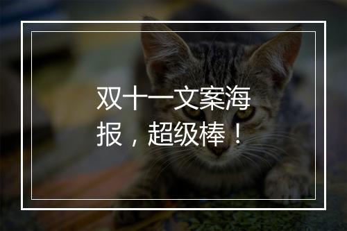 双十一文案海报，超级棒！