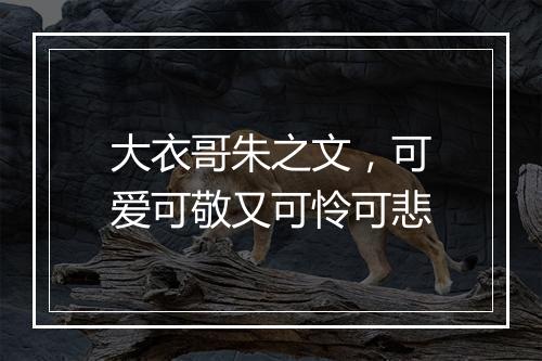 大衣哥朱之文，可爱可敬又可怜可悲