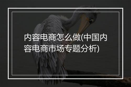 内容电商怎么做(中国内容电商市场专题分析)