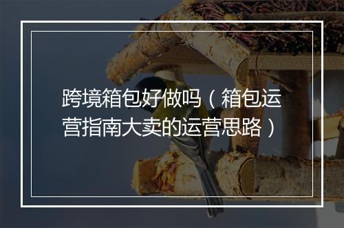 跨境箱包好做吗（箱包运营指南大卖的运营思路）