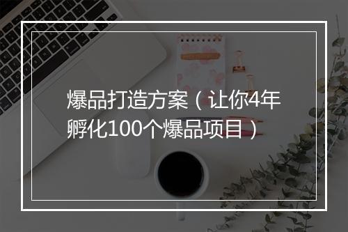 爆品打造方案（让你4年孵化100个爆品项目）