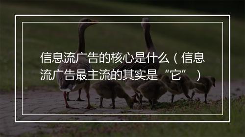 信息流广告的核心是什么（信息流广告最主流的其实是“它”）