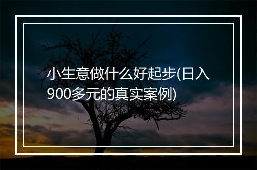 小生意做什么好起步(日入900多元的真实案例)