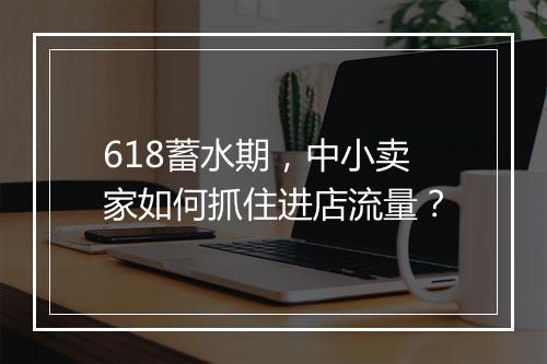 618蓄水期，中小卖家如何抓住进店流量？