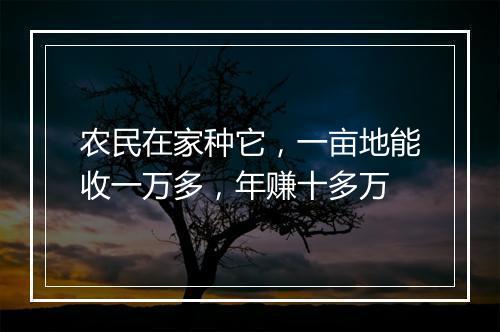 农民在家种它，一亩地能收一万多，年赚十多万