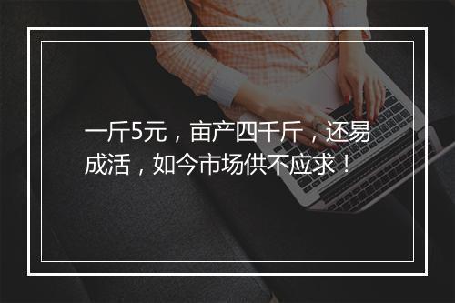 一斤5元，亩产四千斤，还易成活，如今市场供不应求！