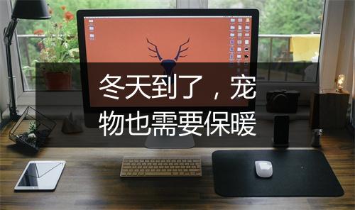 冬天到了，宠物也需要保暖