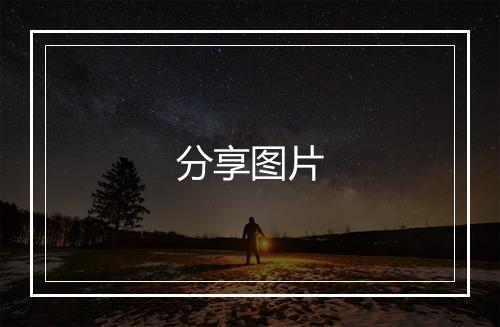 分享图片