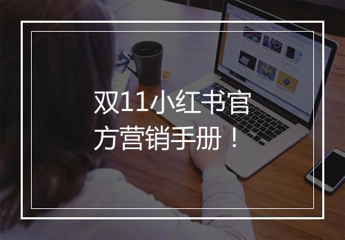 双11小红书官方营销手册！