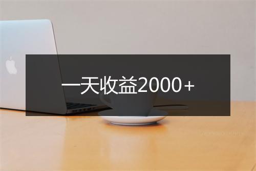 一天收益2000+