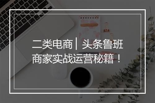 二类电商 ▏头条鲁班商家实战运营秘籍！