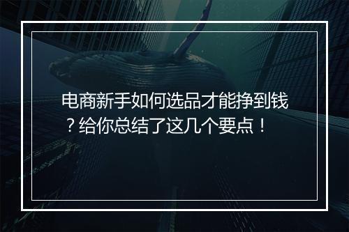 电商新手如何选品才能挣到钱？给你总结了这几个要点！