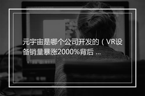 元宇宙是哪个公司开发的（VR设备销量暴涨2000%背后 ）