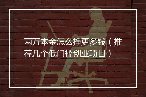 两万本金怎么挣更多钱（推荐几个低门槛创业项目）