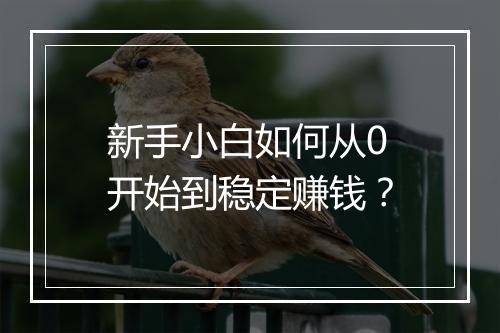 新手小白如何从0开始到稳定赚钱？