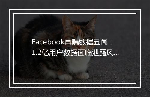 Facebook再曝数据丑闻：1.2亿用户数据面临泄露风险