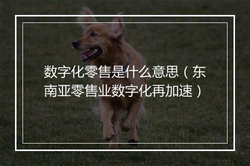 数字化零售是什么意思（东南亚零售业数字化再加速）
