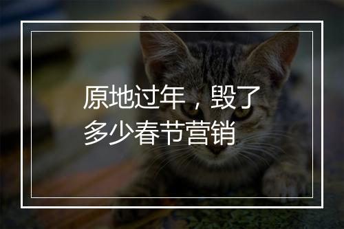 原地过年，毁了多少春节营销