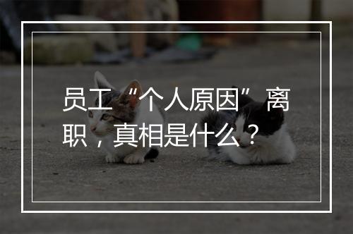 员工“个人原因”离职，真相是什么？