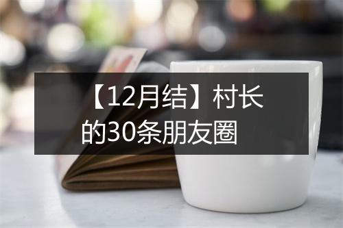 【12月结】村长的30条朋友圈