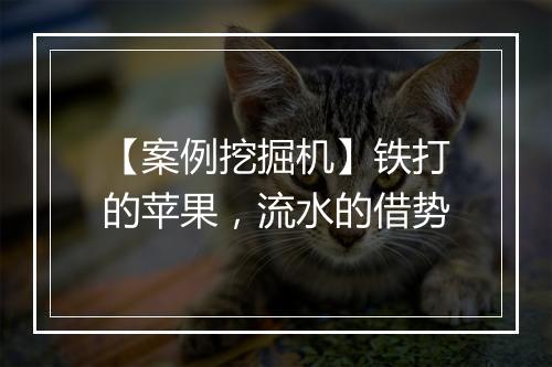 【案例挖掘机】铁打的苹果，流水的借势